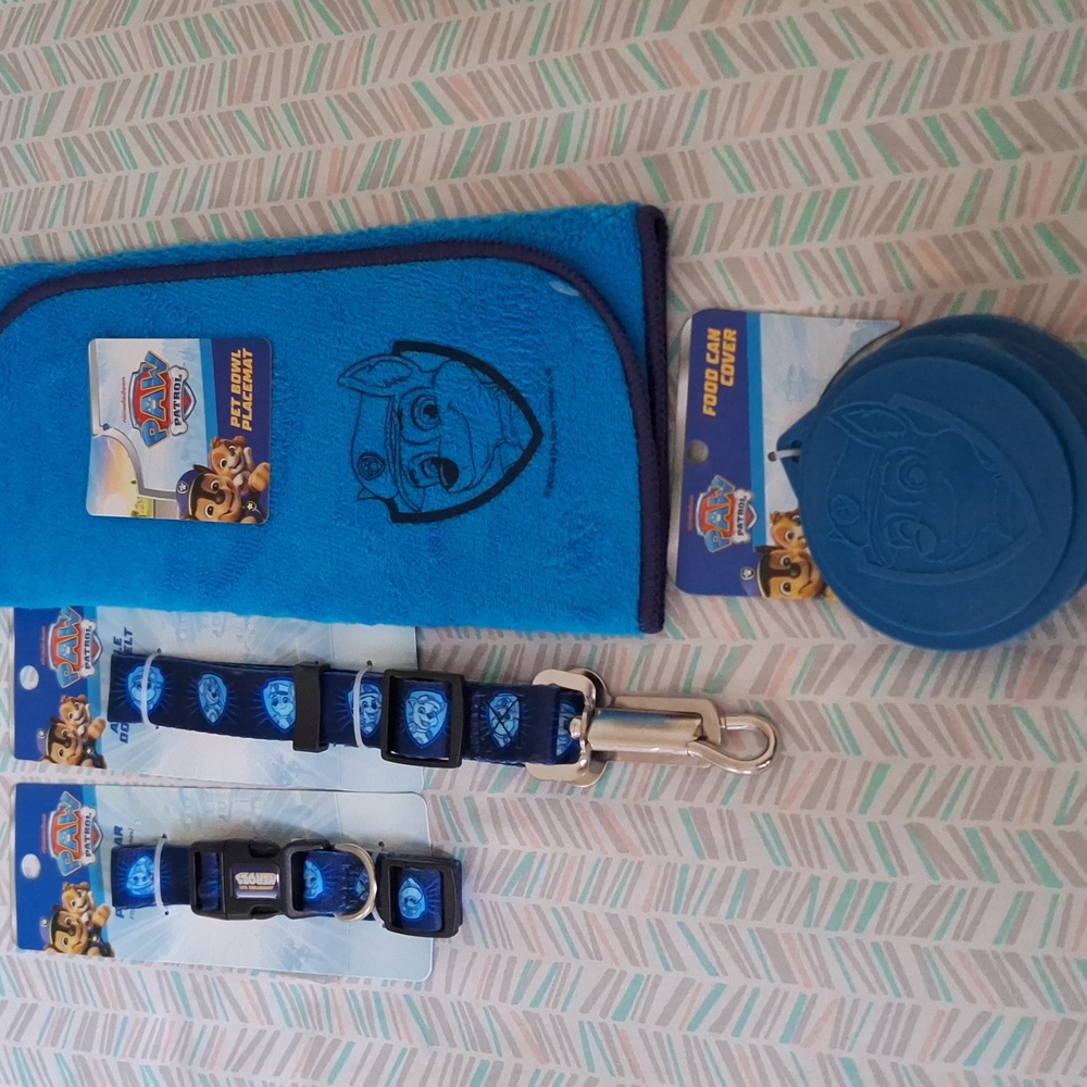 Blue Paw Patrol Dog
